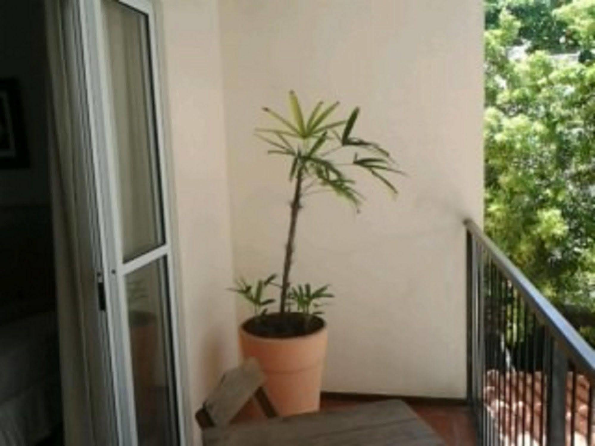 Hotel Charme Fonte Do Boi Salvador Esterno foto